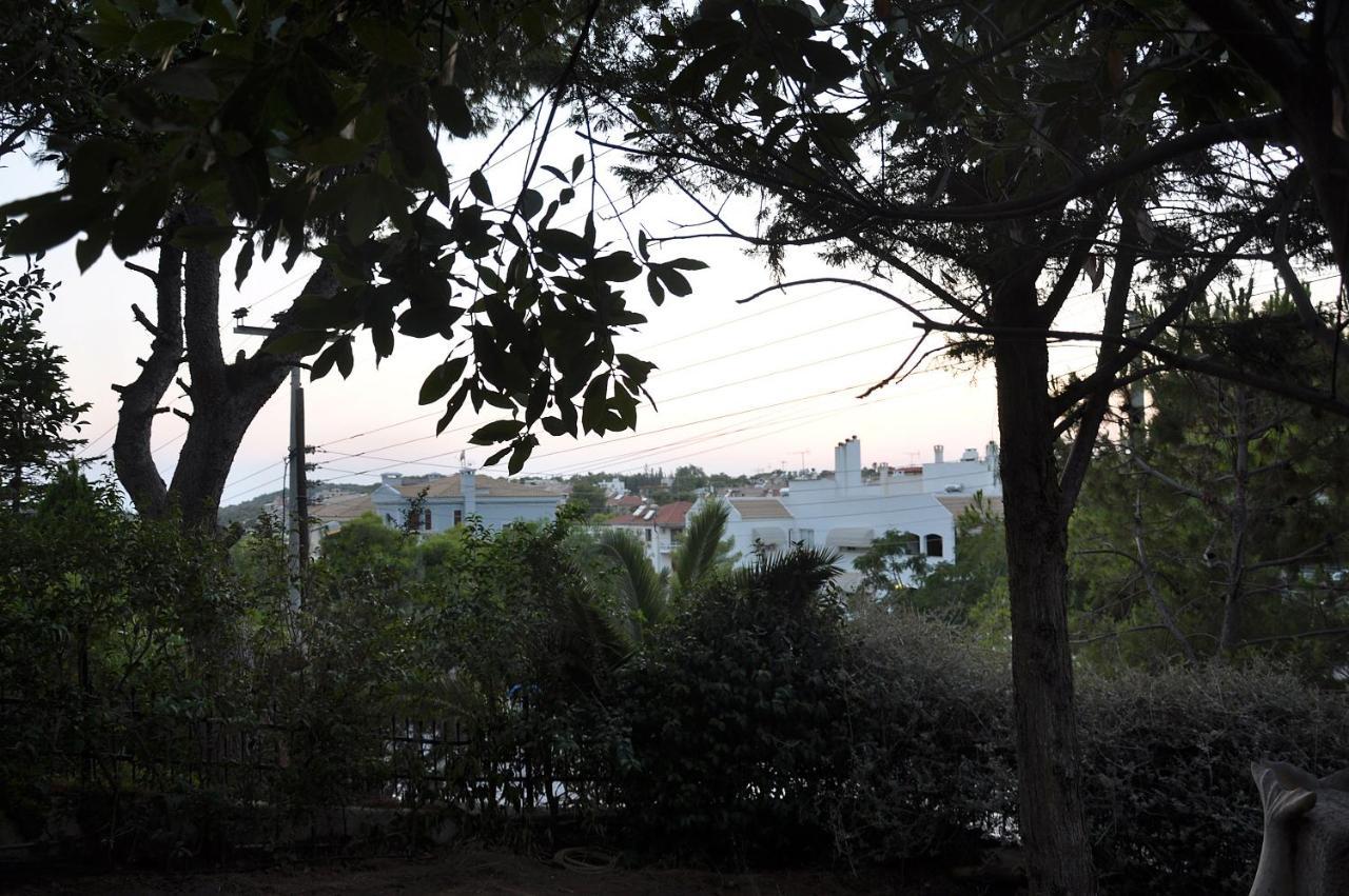 דירות Vouliagméni Jootiq Loft מראה חיצוני תמונה